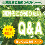 ��ꤽ�����Τꤿ��Q&A