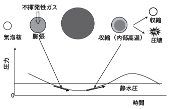 超音波によって発生するキャビテーションの様子