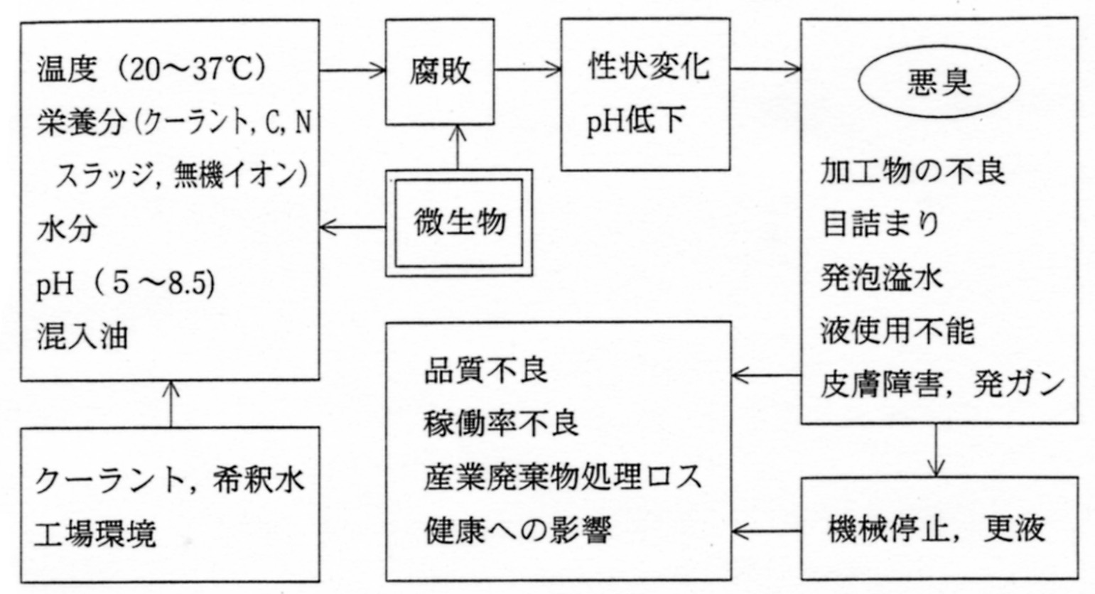 微生物の繁殖の因果影響