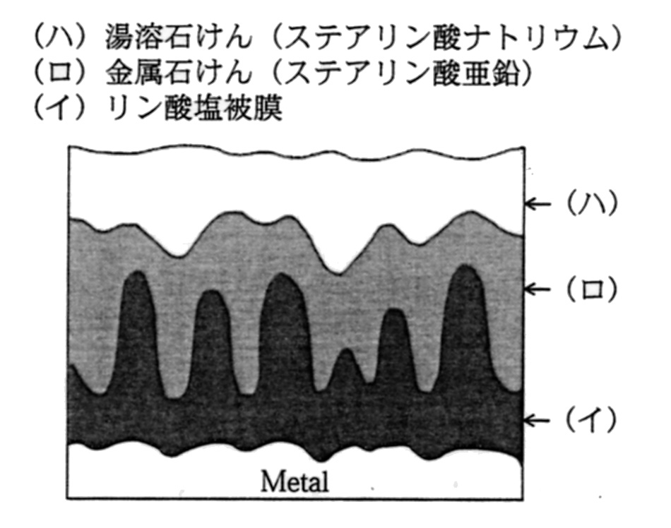 冷間鍛造潤滑層の断面モデル