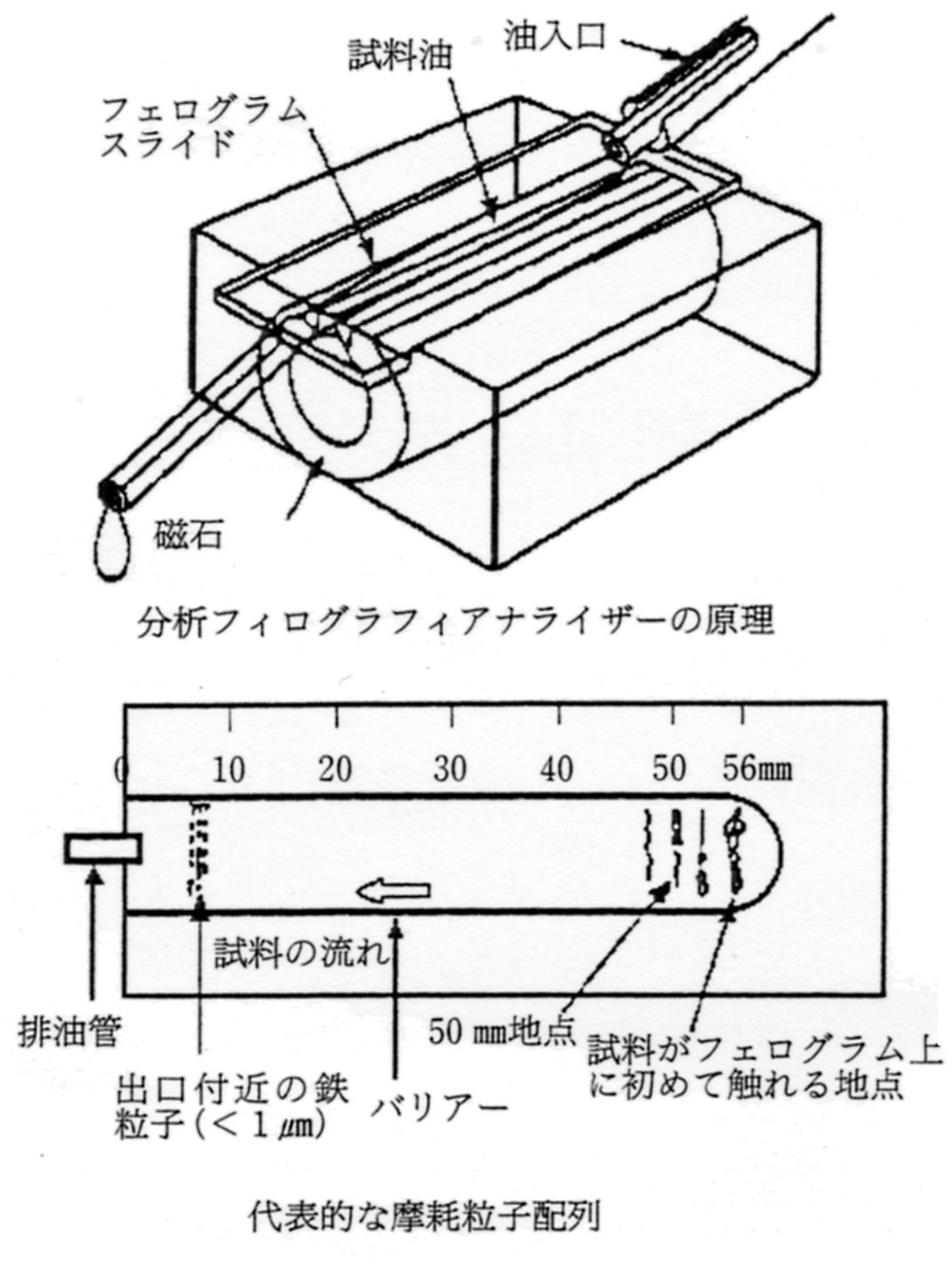 分析フェログラフィ法の原理 