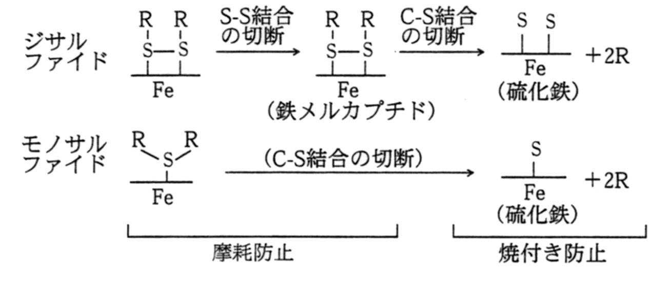 硫黄化合物の作用機構