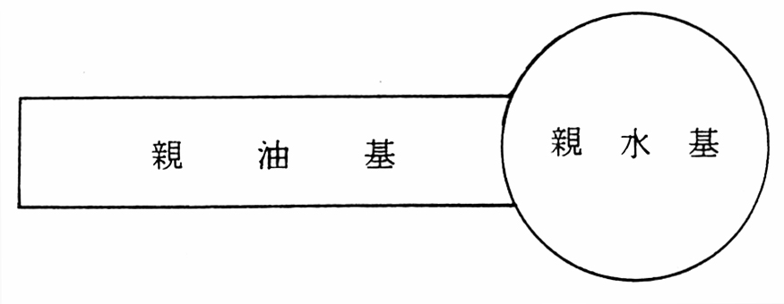 界面活性剤の分子モデル