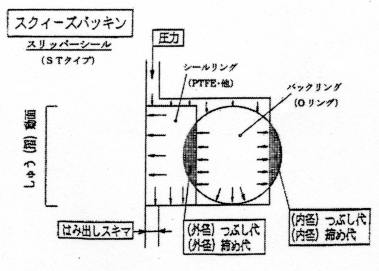 スクィーズパッキン2