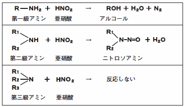 アミンの構造とニトロソアミンの生成の関係