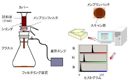 色相判別システム