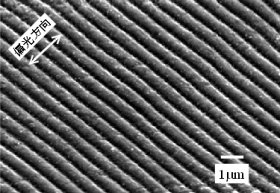 Surfbeat-Rで形成した周期構造