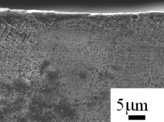 粒子径＝800μm/ピーニング処理されたSUS304材断面のSEM像（鉄系ビーズを投射）