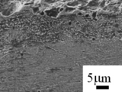 粒子径＝50μm/ピーニング処理されたSUS304材断面のSEM像（鉄系ビーズを投射）