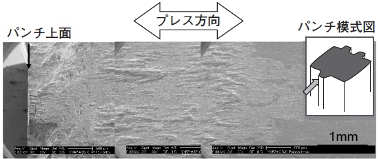 未処理金型の5万ショット後の損傷状態（SEM観察）