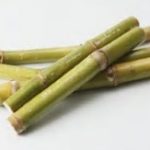 NovaSpec | 植物由来の炭化水素系合成油 | 日本ケミカルズ販売