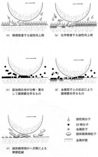 直接接触も含む潤滑に有効な添加剤の作用機構