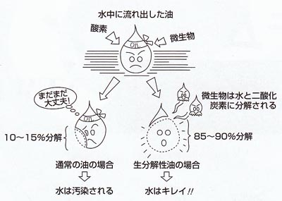 生分解性潤滑油剤