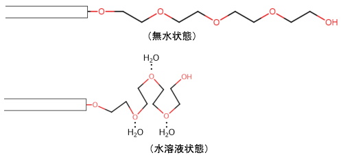 ポリエチレングリコール鎖の溶解状態